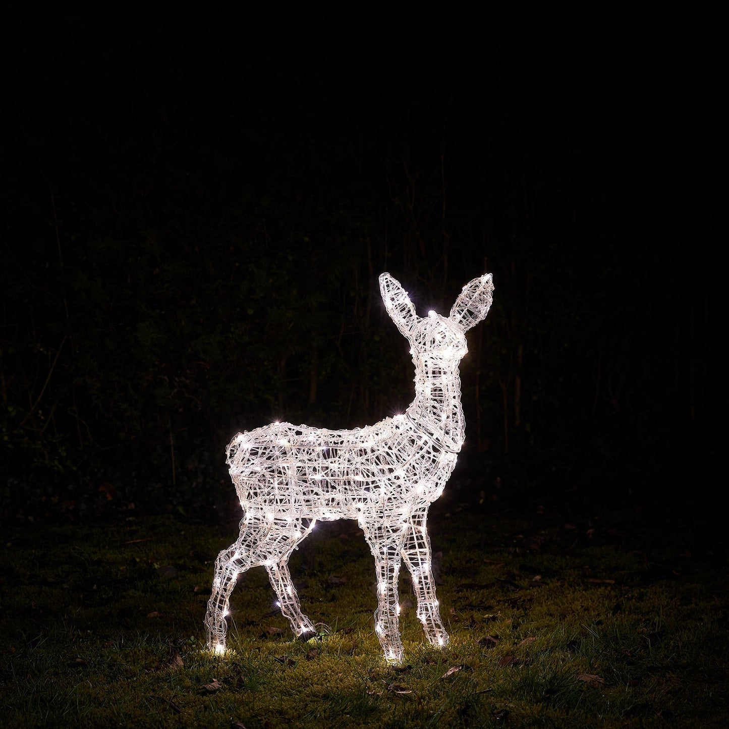 Rena Iluminada Luz Branca