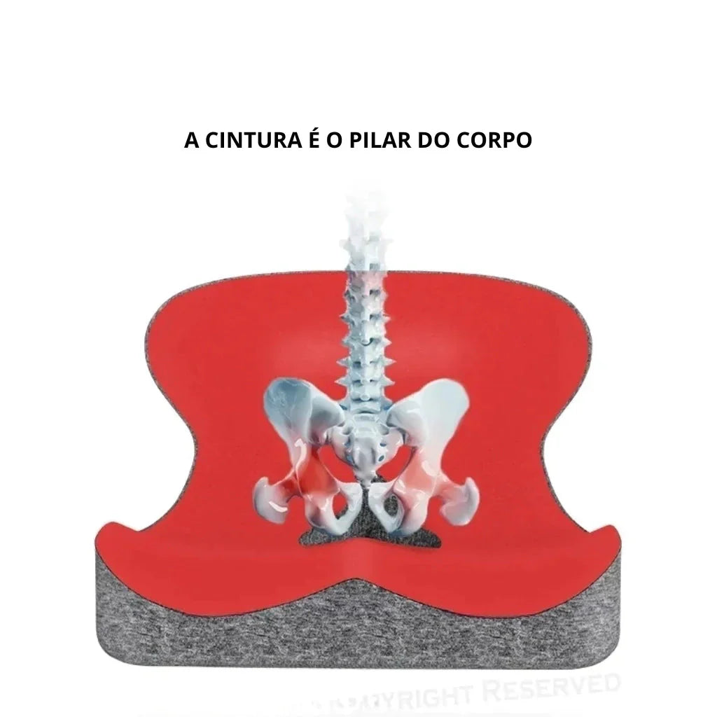 Almofada De Assento Ortopédico Com Espuma De Memória